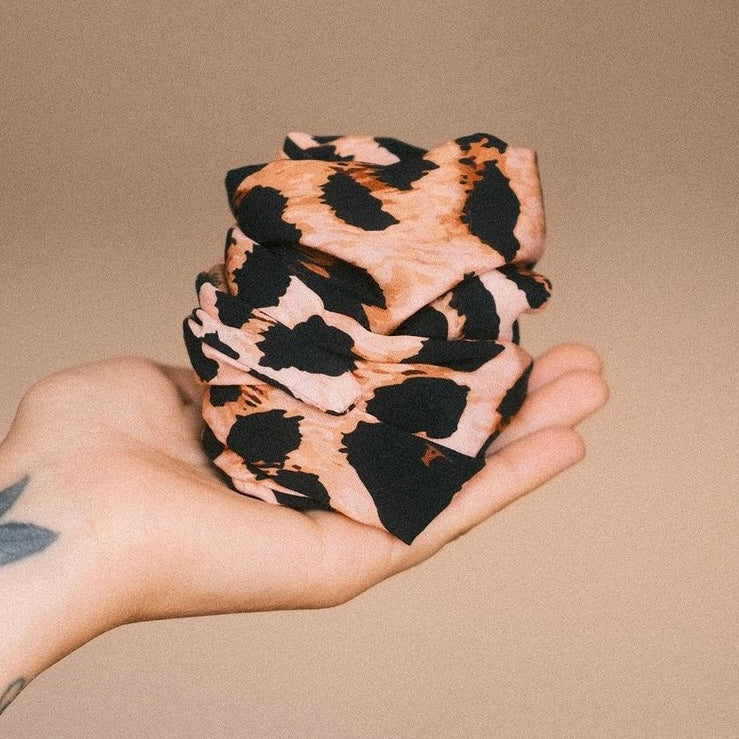 Drahthaarband breit wow Leo