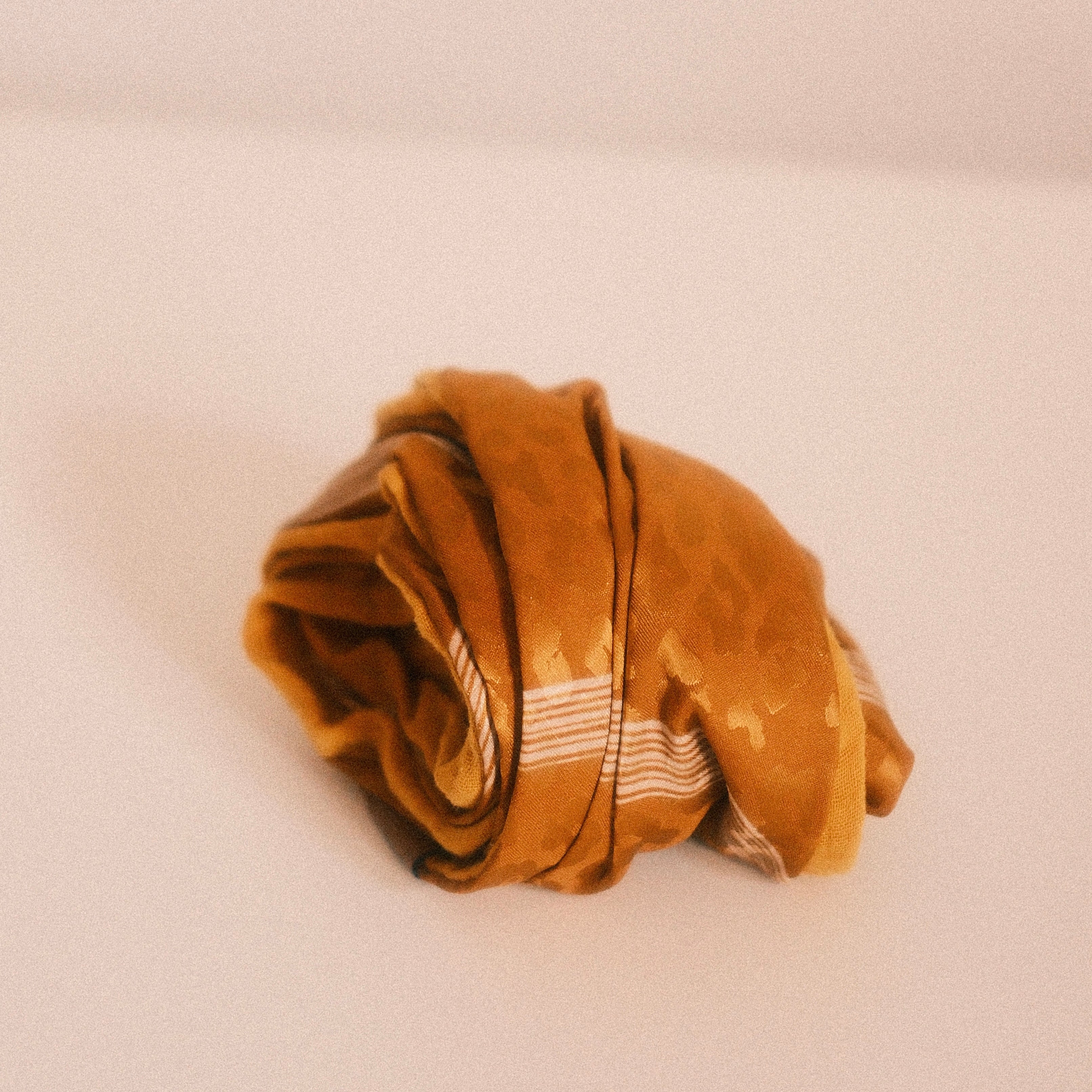 Drahthaarband 2 Seiten - Leo Senfgelb