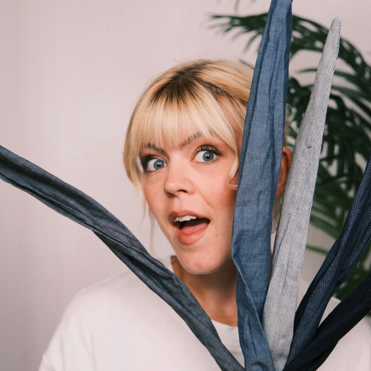 Drahthaarband Jeans Punkte