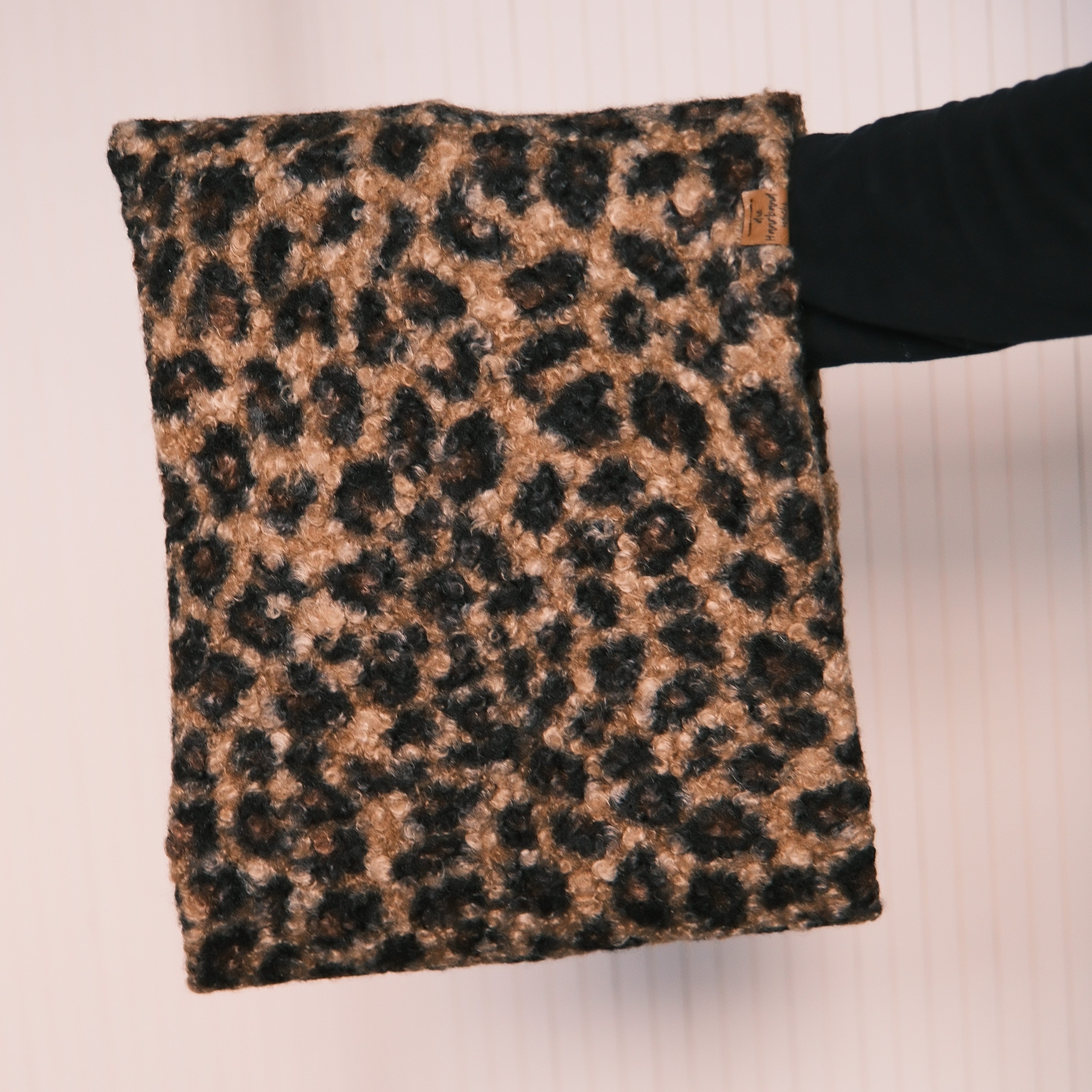 Loop - Teddy Leo Braun