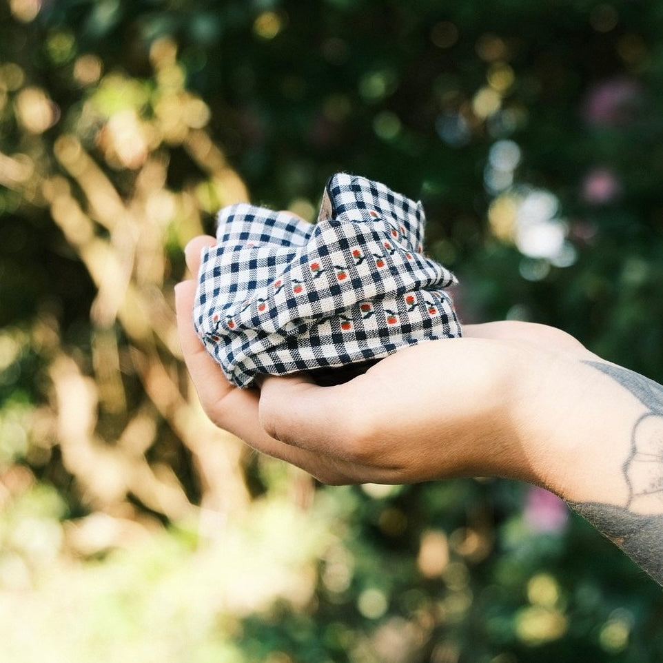 Drahthaarband Almherz